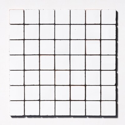 Royal White Tumbled 2x2 Terracotta Mosaics 12x12