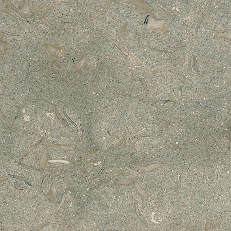 Olive Green Honed Limestone Tile 12×12 Image
