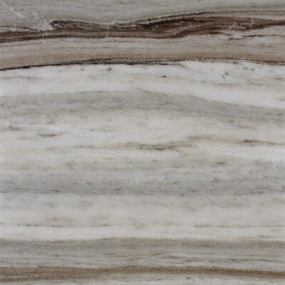 Palisandra Polished Marble Tile 12×12 Image