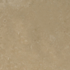 TL14312 Item Image