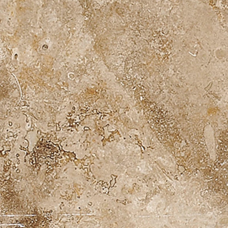 Canyon Honed Filled Travertine Tile 5 1/2×5 1/2 Image