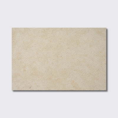 TL16005 Item Image