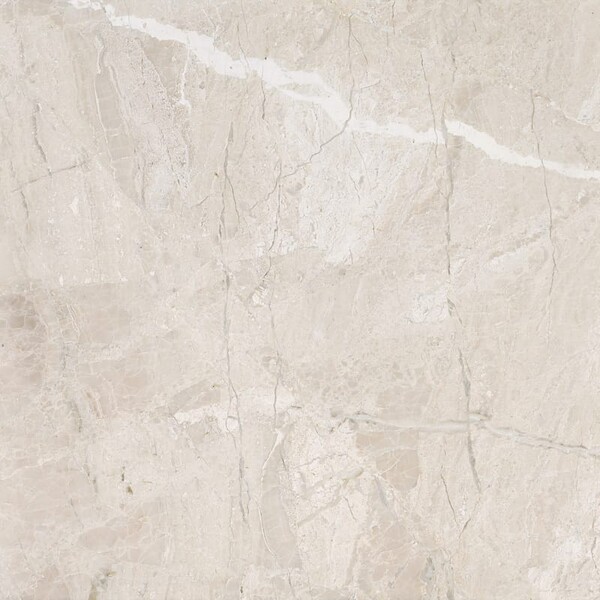 Diana Royal Honed Marble Tile 36×36 Image