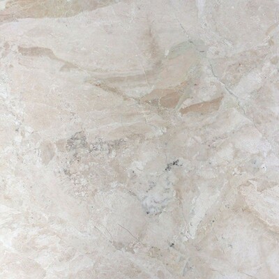 Diana Royal Classic Honed Marble Tile 24x24