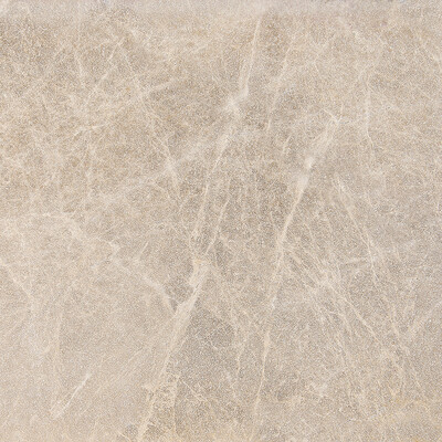 Paradise Textured  Marble Tile 18×18 Image
