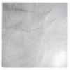TL21161 Item Image