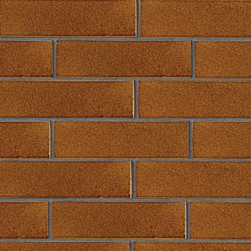 Malerie Nut Gloss Ceramic Tile 2 5/8×9 5/8 Image