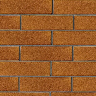 Pumpkin Field Gloss Ceramic Tile 2 5/8×9 5/8 Image