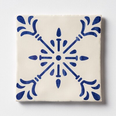 Auvergne Glossy Ceramic Tile 6x6