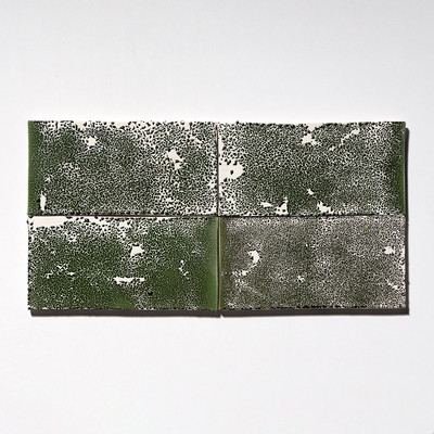 Lichens Semi Glossy Glazed Terracotta Tile 4x8