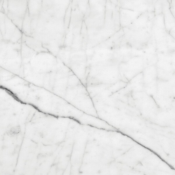 White Carrara C Honed Marble Tile 12×12 Image