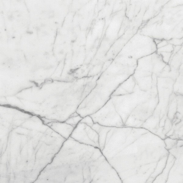 White Carrara C Honed Marble Tile 18×18 Image
