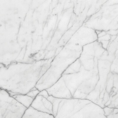 White Carrara Honed Marble Tile 24x24