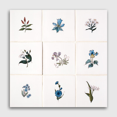 Friesland Flowers Poly On White Glazed Ceramic Tile 5x5
