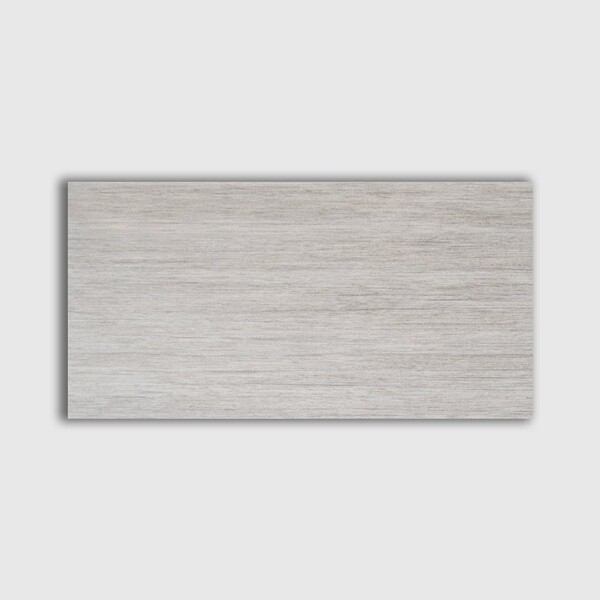 Argento Matte Porcelain Tile 12×24 Image