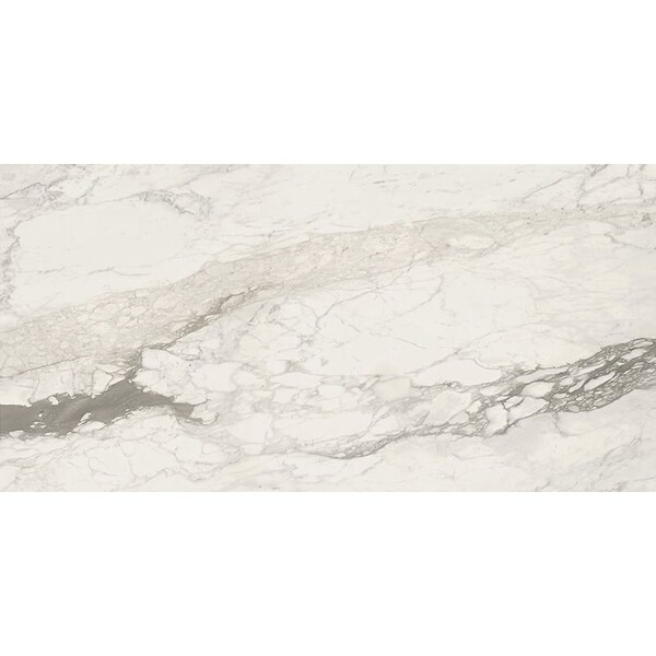 Calacatta Renoire Honed Porcelain Tile 24×48 Image