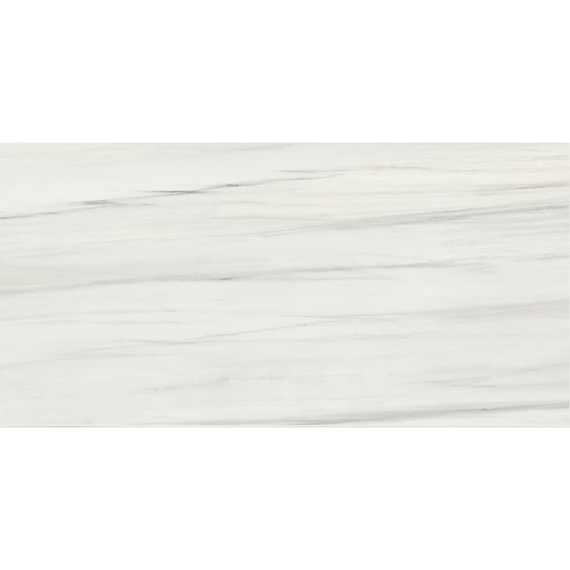 Carrara Zebrino Honed Marble Look Porcelain Tile 24x48