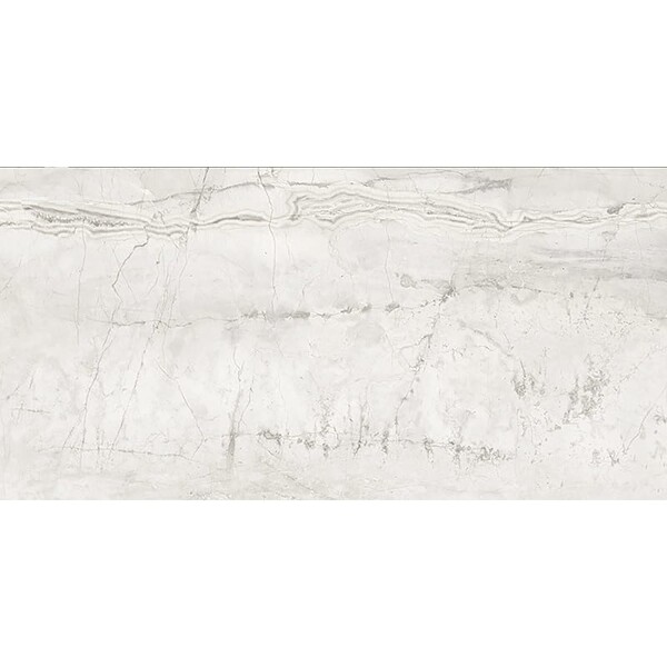 Romano White Honed Porcelain Tile 24×48 Image