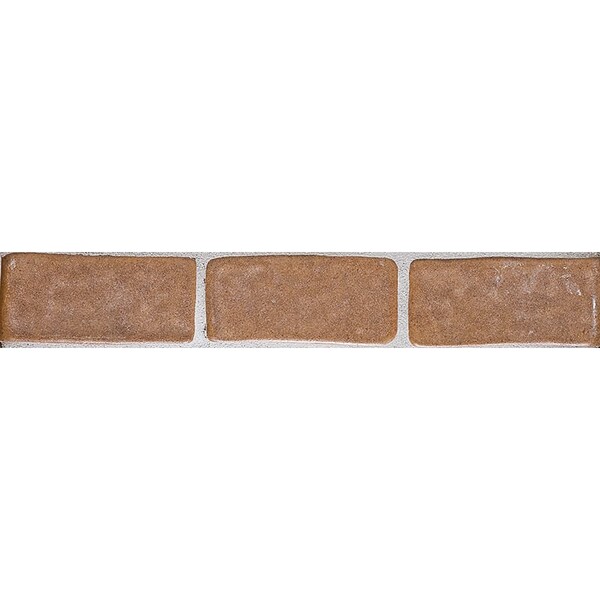 24rb A Glazed Rustic Ceramic Borders 2×4 Image