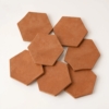 Hand Made Matte Hexagon 8 Terracotta Tiles 8 (DC00427)
