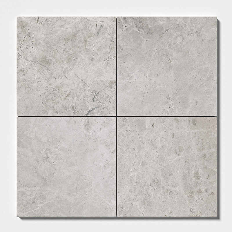 Silver Shadow Honed Marble Tiles 12×12 (TL13782)