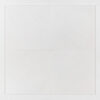 Aspen White Honed Marble Tiles 18×18 (TL19186)