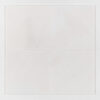 Aspen White Honed Marble Tiles 18×18 (TL19186)