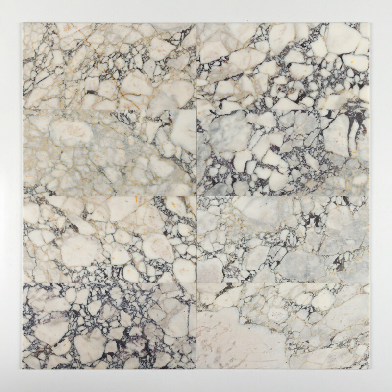 Calacatta Picasso Honed Marble Tiles 12×24 (TL21000)