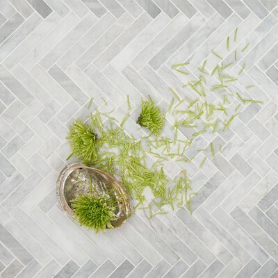 Avenza Honed Mixed Herringbone Marble Mosaic 16 5/6×12 1/16 (MS01530)