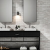 Frost White Honed Marble Tile 2 3/4×5 1/2 (TL18150)