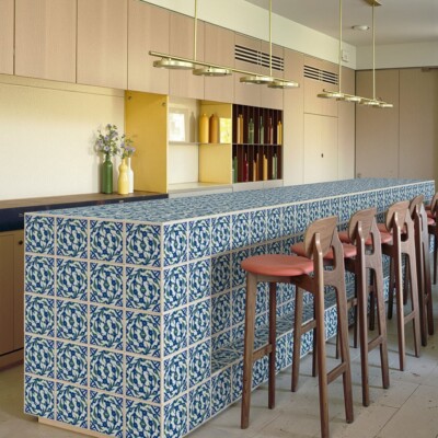 Silk Glossy Ceramic Tiles 8×8 (TL80813)