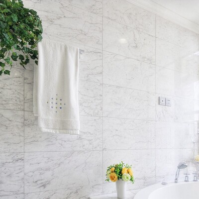 White Carrara C Polished Marble Tile 12×24 (TL90443) White Carrara C Honed Marble Tile 2 3/4×5 1/2 (TL90635)