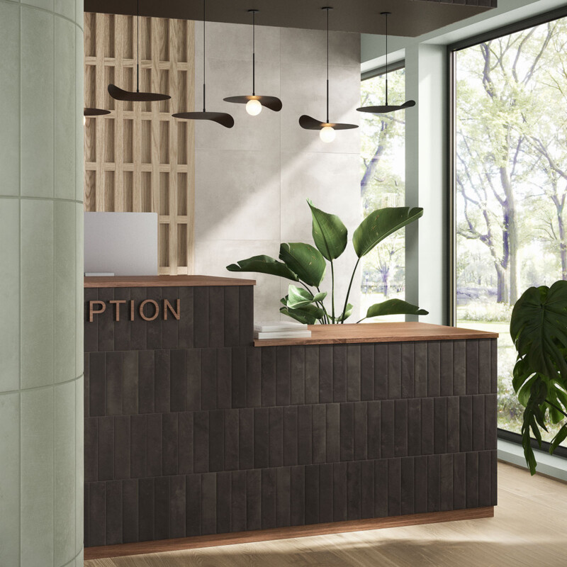 Cera Nero Matte  Glazed Porcelain Tile 2 1/2×9 1/2 (WMN10054)