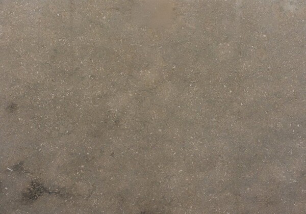 Olive Green Honed Limestone Slab Random