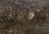 Mystic Brown Polished Marble Slab Random