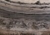 Frappuccino Polished Marble Slab Random