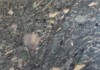 Four Season Polished Marble Slab Random