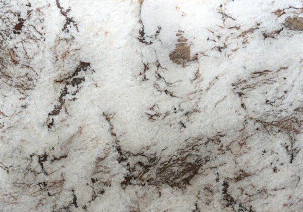 Cristallo Oak Polished Quartzite Slab Random