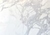 Calacatta Gold Classic Honed Marble Slab Random