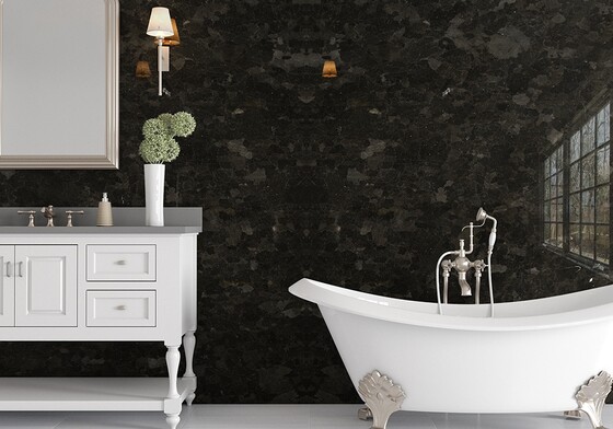 Brown Lapiz Polished  Granite Slab Random (SL10555)