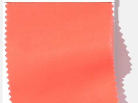 Pantone Color of the Year
